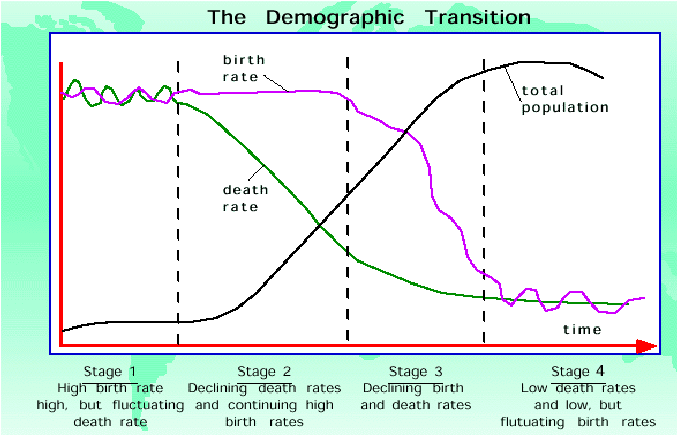 Four-stage demographic transition model showing birth rate and death rate lines over time: Stage 1 (both rates high), Stage 2 (death rate drops, birth rate stays high), Stage 3 (birth rate drops), Stage 4 (both rates low). Population growth shaded area between the lines.