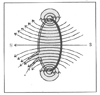 Current loop showing magnetic field lines forming loops that pass through the center and spread out around the loop