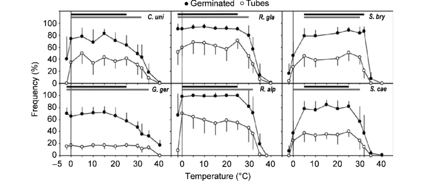Graph showing pollen tube growth rate under different temperature conditions