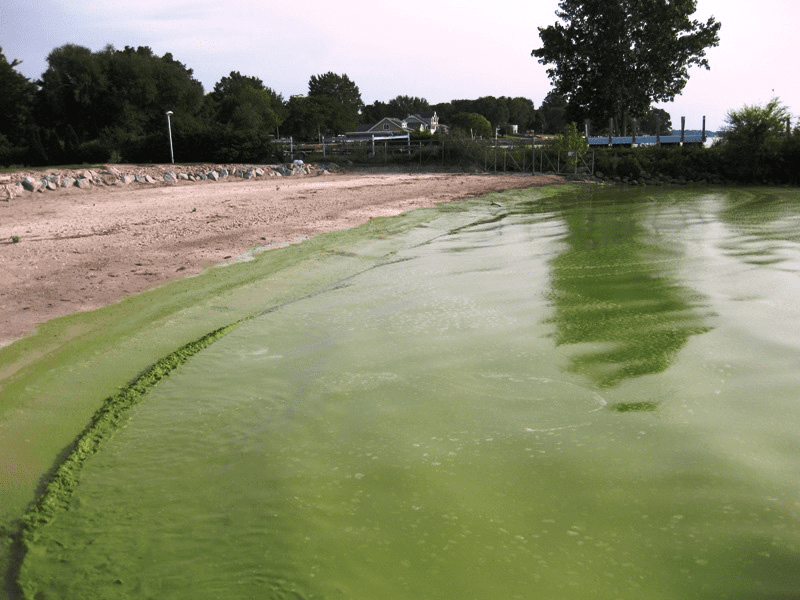 "Comparison image showing Lake Erie's transformation from severely polluted waters in the 1960s with algae blooms and dead fish, to the cleaner recreational waters of today with boats and swimmers."