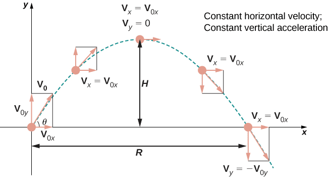 Projectile trajectory showing parabolic path with velocity vectors at multiple points, range and maximum height labeled, and component analysis at launch