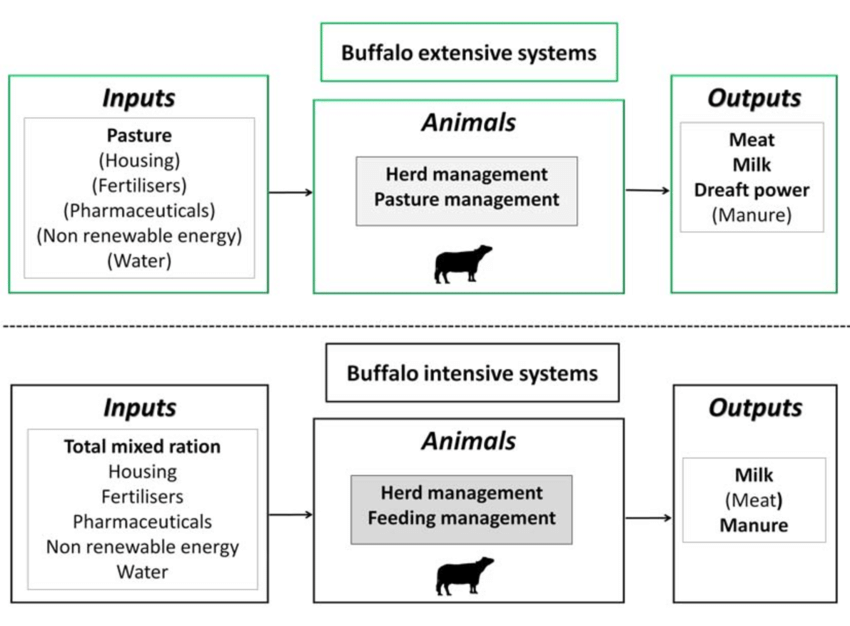Side-by-side comparison showing a large cattle ranch with scattered animals across rolling hills on the left, and a compact, multi-story vertical farm with precise growing systems on the right. Arrows and text highlight the different resource inputs and outputs for each system.