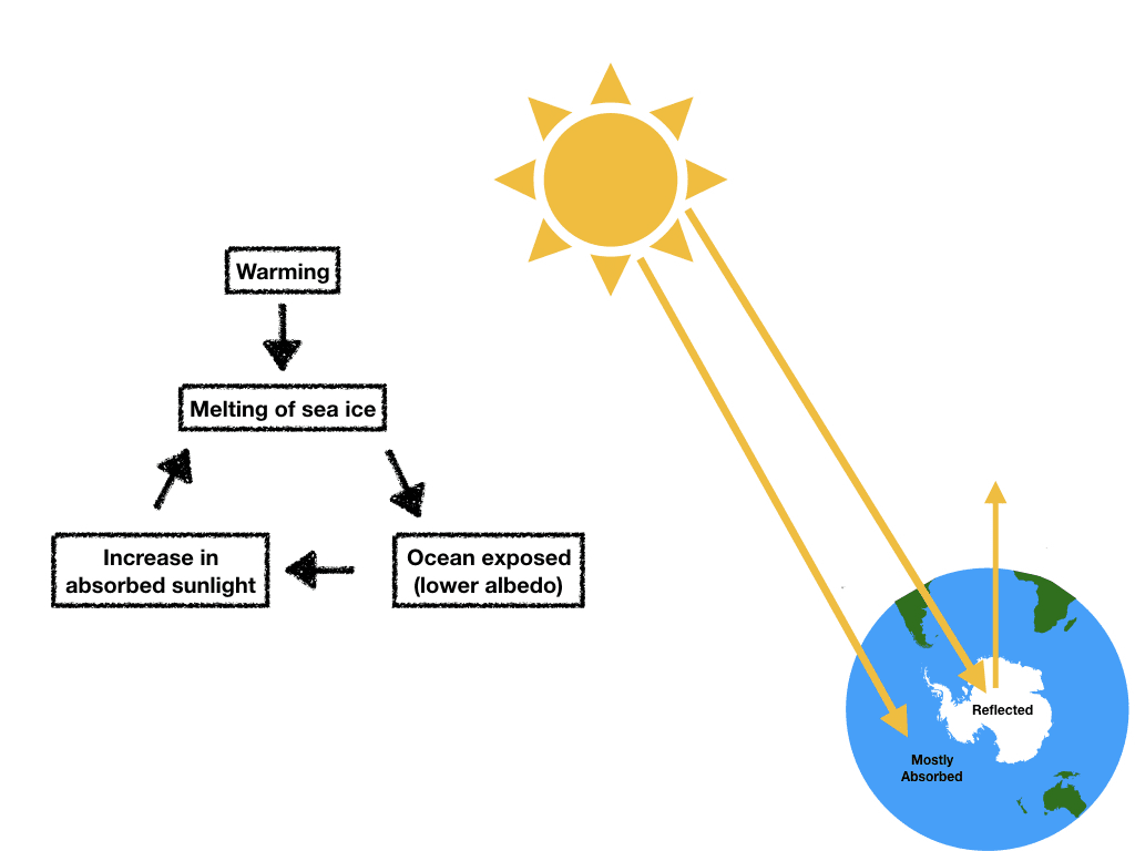 Circular flowchart illustrating the ice-albedo feedback loop, starting with "Global warming" leading to "Ice melts" to "Less sunlight reflected" to "More heat absorbed" and back to "More global warming," with arrows showing the self-reinforcing cycle and small icons representing ice, sun, and heat.