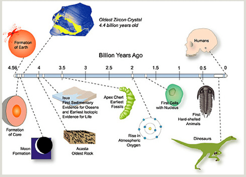 Timeline of Earth's history showing major evolutionary milestones from formation to present day