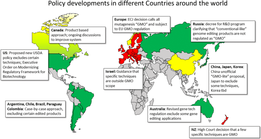 Global map showing different regulatory approaches to agricultural biotechnology, with color coding for restrictive, moderate, and permissive regulatory frameworks