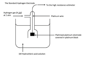 Standard Hydrogen Electrode (SHE) setup with platinum electrode, H₂ gas at 1 atm, and 1M H⁺ solution