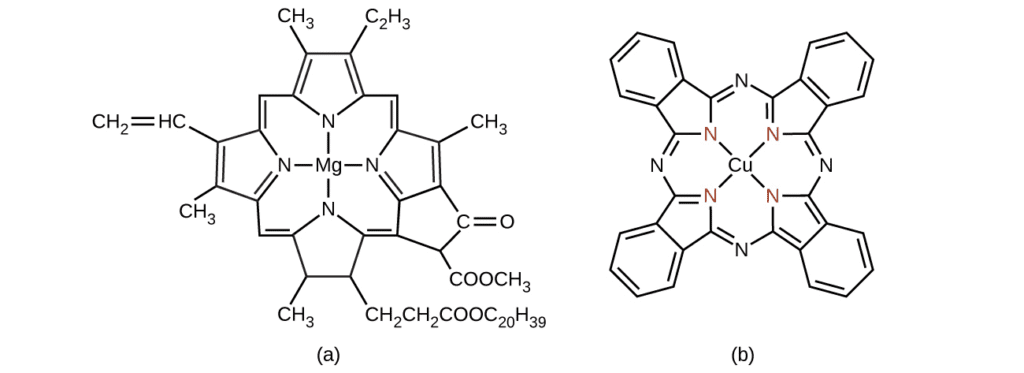 Structural formulas of common ligands showing donor atoms highlighted