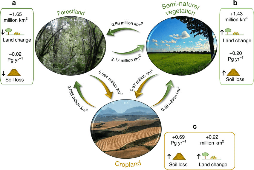 Flowchart diagram showing carbon flows between atmosphere, vegetation, soil, and human activities. Arrows of different colors show carbon sequestration (green arrows pointing down) and carbon emissions (red arrows pointing up) from various land uses including forests, agriculture, and urban areas.