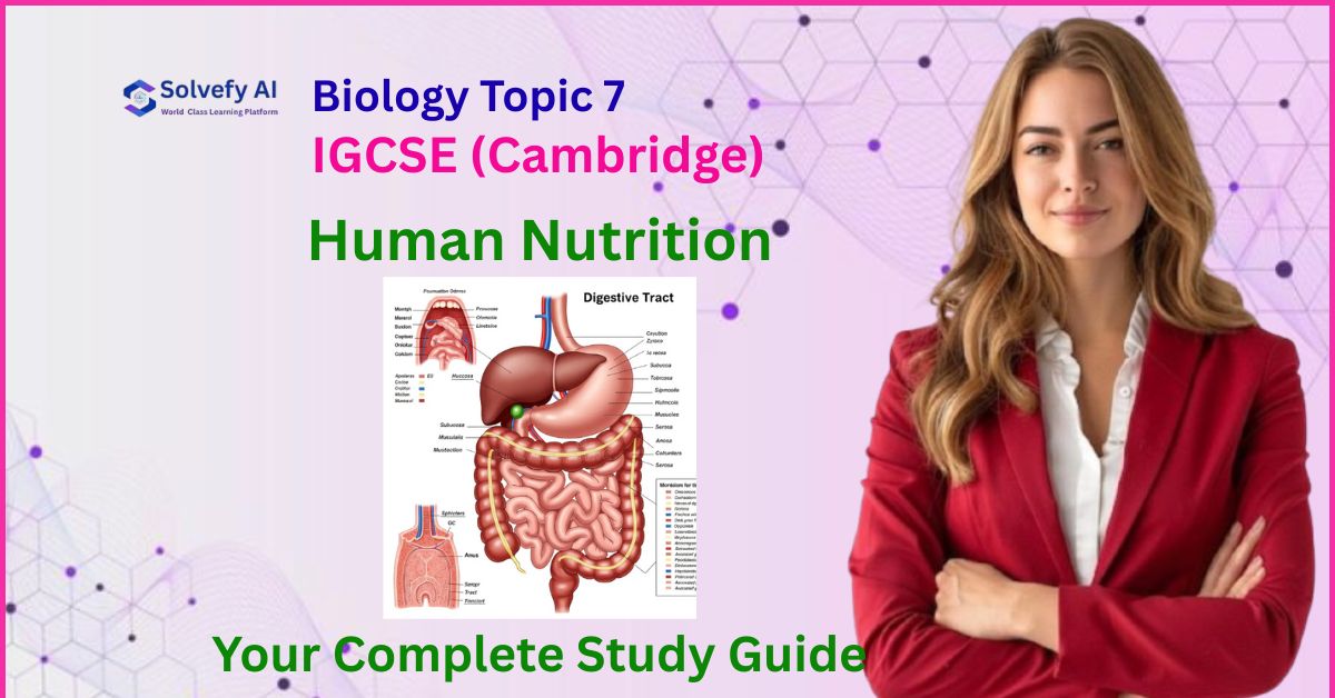 IGCSE (Cambridge) Biology Topic 7: Human Nutrition | Your Complete Study Guide