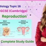 Reproduction | IGCSE Biology Topic 16 Complete Guide
