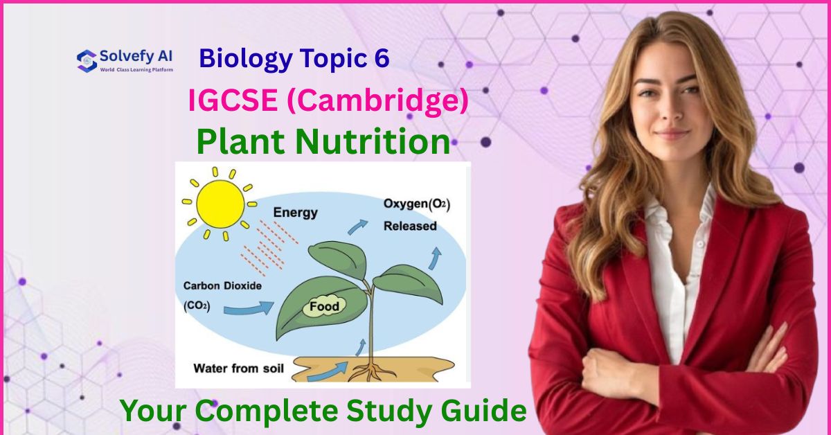 IGCSE (Cambridge) Biology Topic 6: Plant Nutrition | Your Complete Study Guide