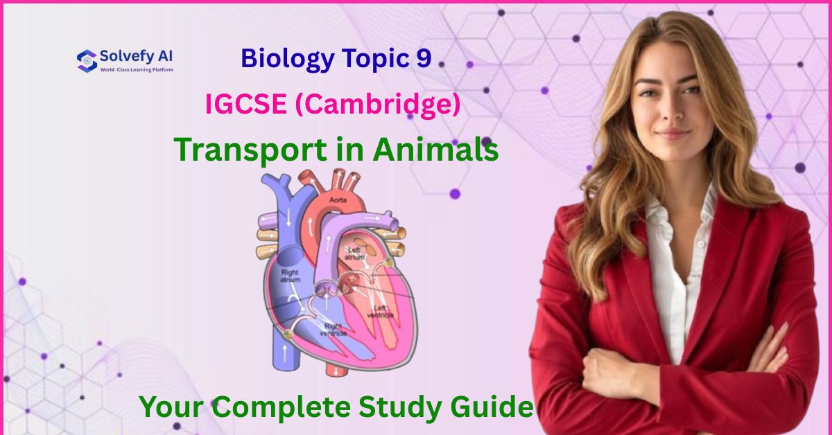 IGCSE (Cambridge) Biology Topic 9: Transport in Animals | Your Complete Study Guide