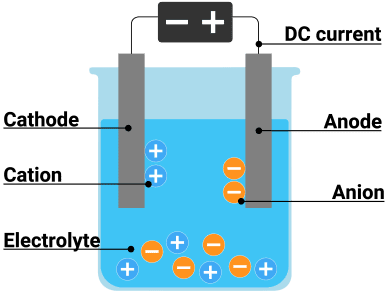Electrolysis of water setup showing electrodes, gas collection tubes, and ion movement with clear labeling of anode, cathode, and gas production