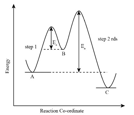 Complete energy level diagram showing both exothermic and endothermic reactions with activation energy barriers clearly marked