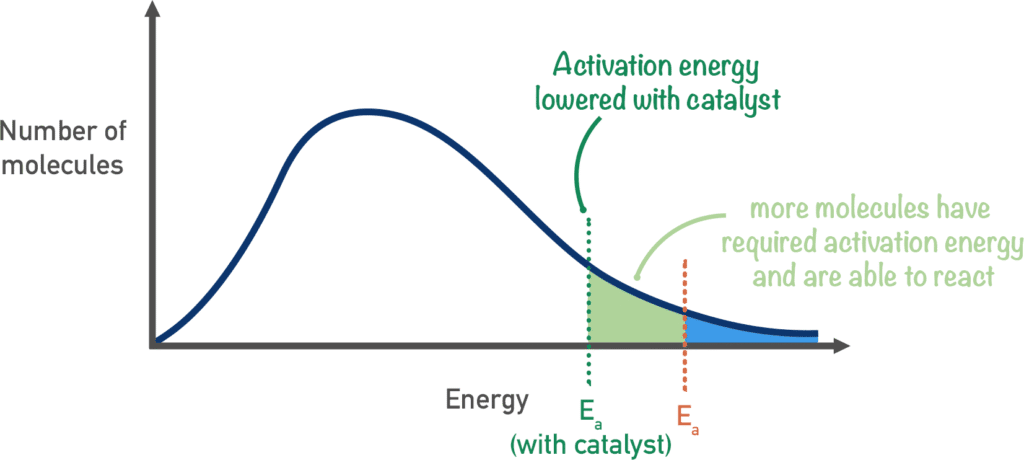 Maxwell-Boltzmann distribution curve showing how temperature affects the number of particles with sufficient activation energy
