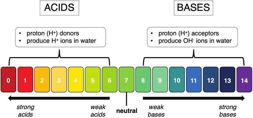 Comparison table showing properties of acids vs bases, including pH ranges, litmus tests, and common examples