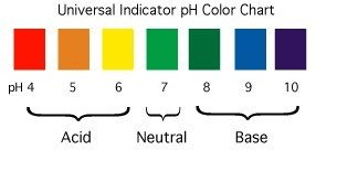 pH scale showing colors from red (acidic) through green (neutral) to purple (basic), with common substances marked at their pH values