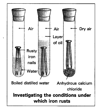 Three test tubes showing iron nails in different conditions - boiled water with oil layer (no rust), dry air with calcium chloride (no rust), and normal air with water (rust forms)
