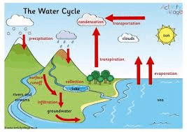 Complete water cycle showing evaporation, transpiration, condensation, precipitation, and groundwater flow
