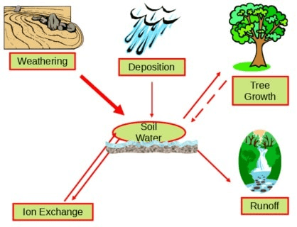 Effects of acid rain on forests, lakes, and buildings with pH scale comparison