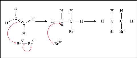 Addition reaction mechanism showing bromine adding across a double bond