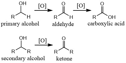Oxidation pathway showing primary alcohol converting to aldehyde then carboxylic acid