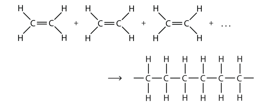 Polymerization of ethene showing multiple ethene molecules joining to form polyethene chain