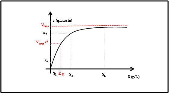 Enzyme concentration vs. reaction rate showing initial linear increase followed by plateau