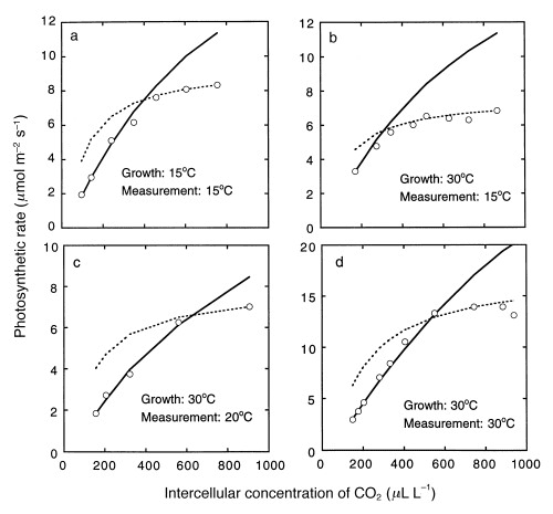 Graph showing rate of photosynthesis vs. CO₂ concentration, with similar curve pattern showing plateau