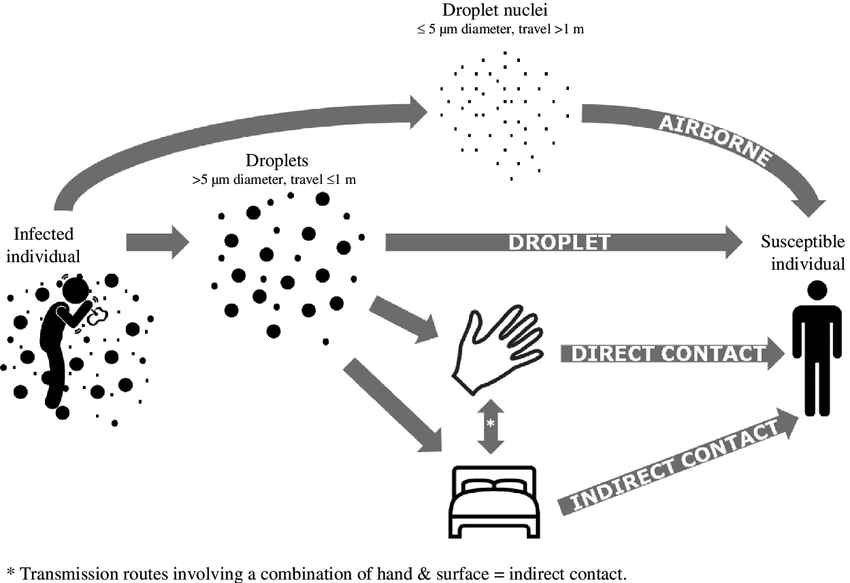 Disease transmission pathways showing direct and indirect routes with examples