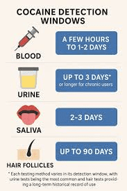 Timeline showing detection windows for different testing methods and various drugs