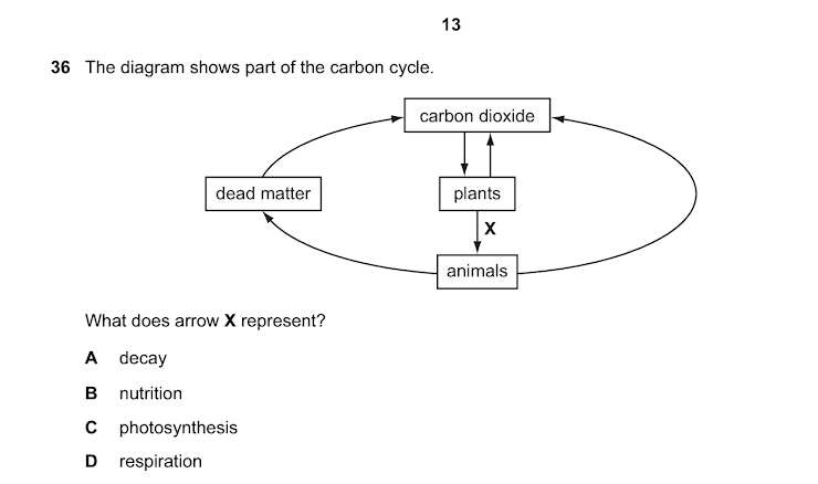 Complete carbon cycle showing the atmosphere at the center with CO₂. Show arrows for: photosynthesis (CO₂ to plants), feeding (plants to animals), respiration (from all organisms back to atmosphere), decomposition (dead matter to CO₂), combustion (fossil fuels to CO₂), and fossilization (dead organisms to fossil fuels)