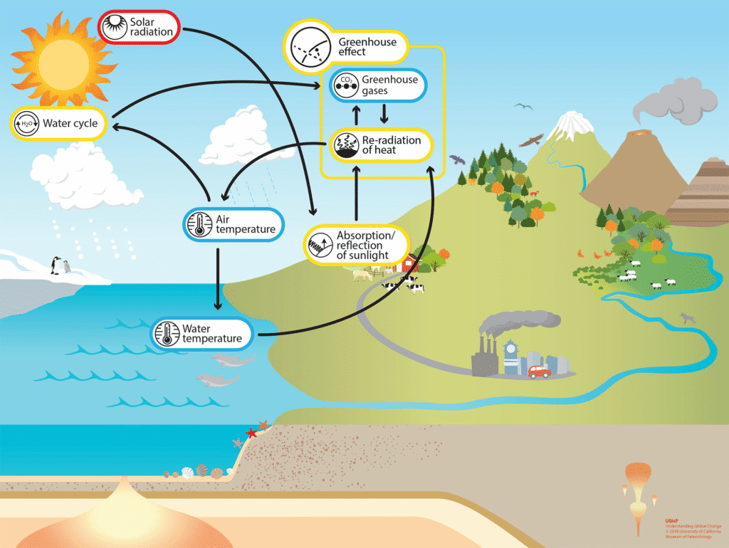The greenhouse effect showing Earth, incoming solar radiation, outgoing infrared radiation, and greenhouse gases trapping heat, with a comparison between natural and enhanced greenhouse effect