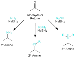 अमोनिया से अमीन के निर्माण की क्रमिक प्रक्रिया दिखाने वाला चित्र - NH₃ → RNH₂ → R₂NH → R₃N
