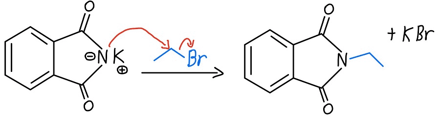 गैब्रिएल संश्लेषण की पूरी अभिक्रिया क्रम दिखाने वाला चित्र