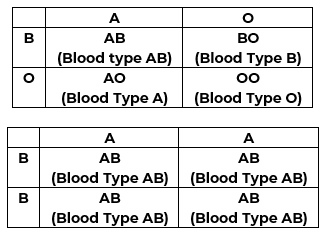ABO रक्त समूह की वंशावली पद्धति दिखाते हुए सभी संभावित संकरण और संतति की रक्त समूह संभावनाएं